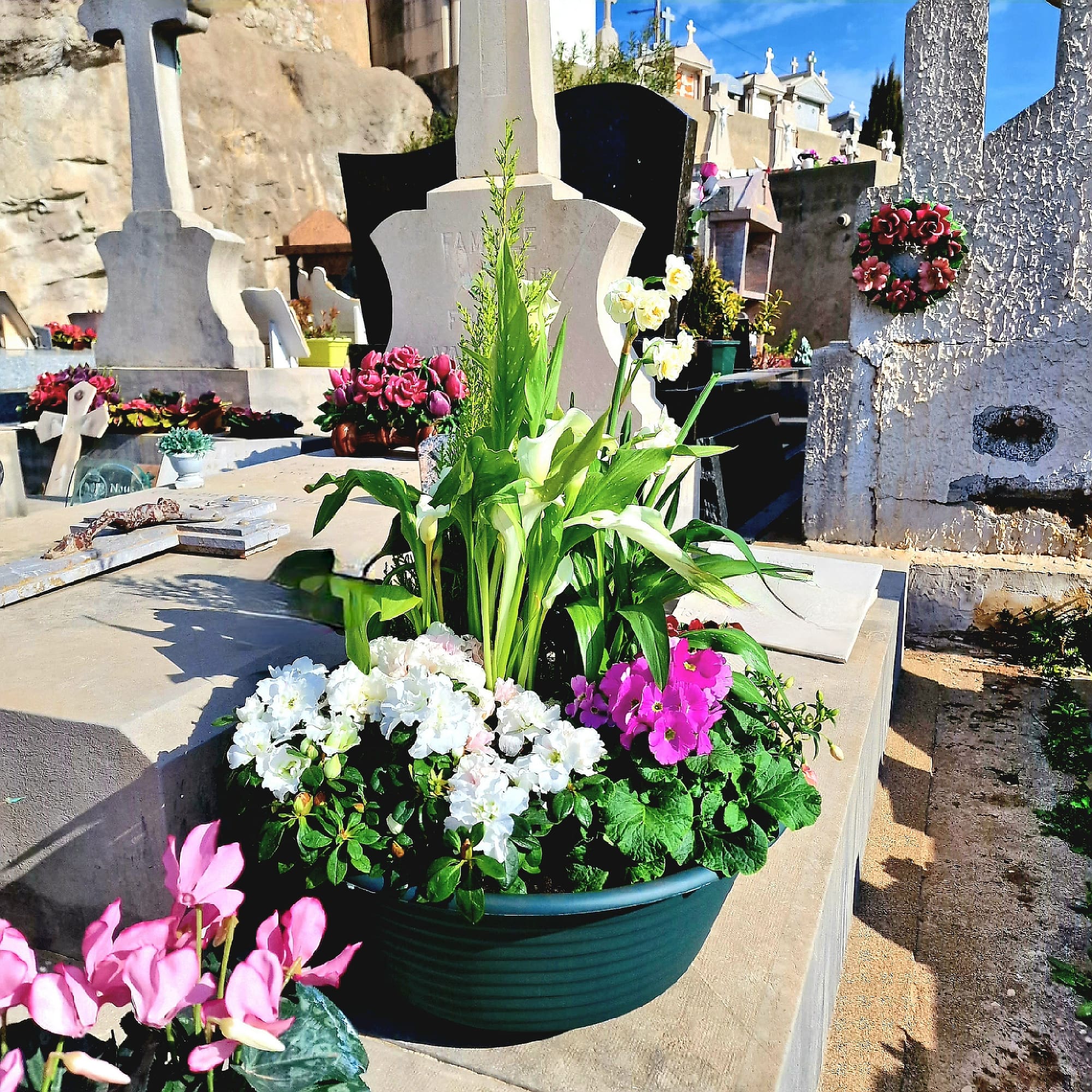 Fleurissement tombe cimetière plantes fleuries Fleuriste Sète