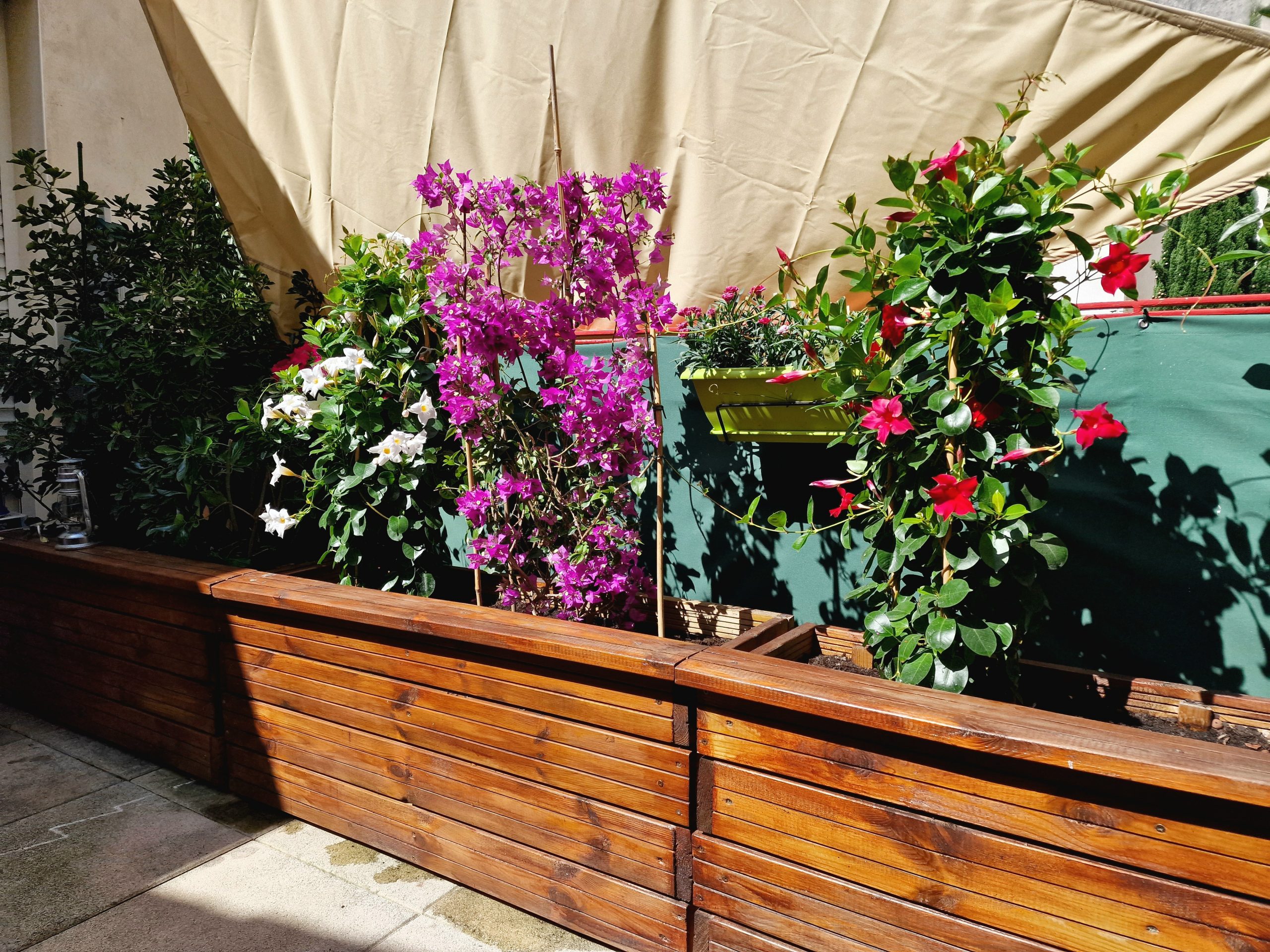 Prestation Décoration de terrasse Particulier Fleuriste Sète Amazonie