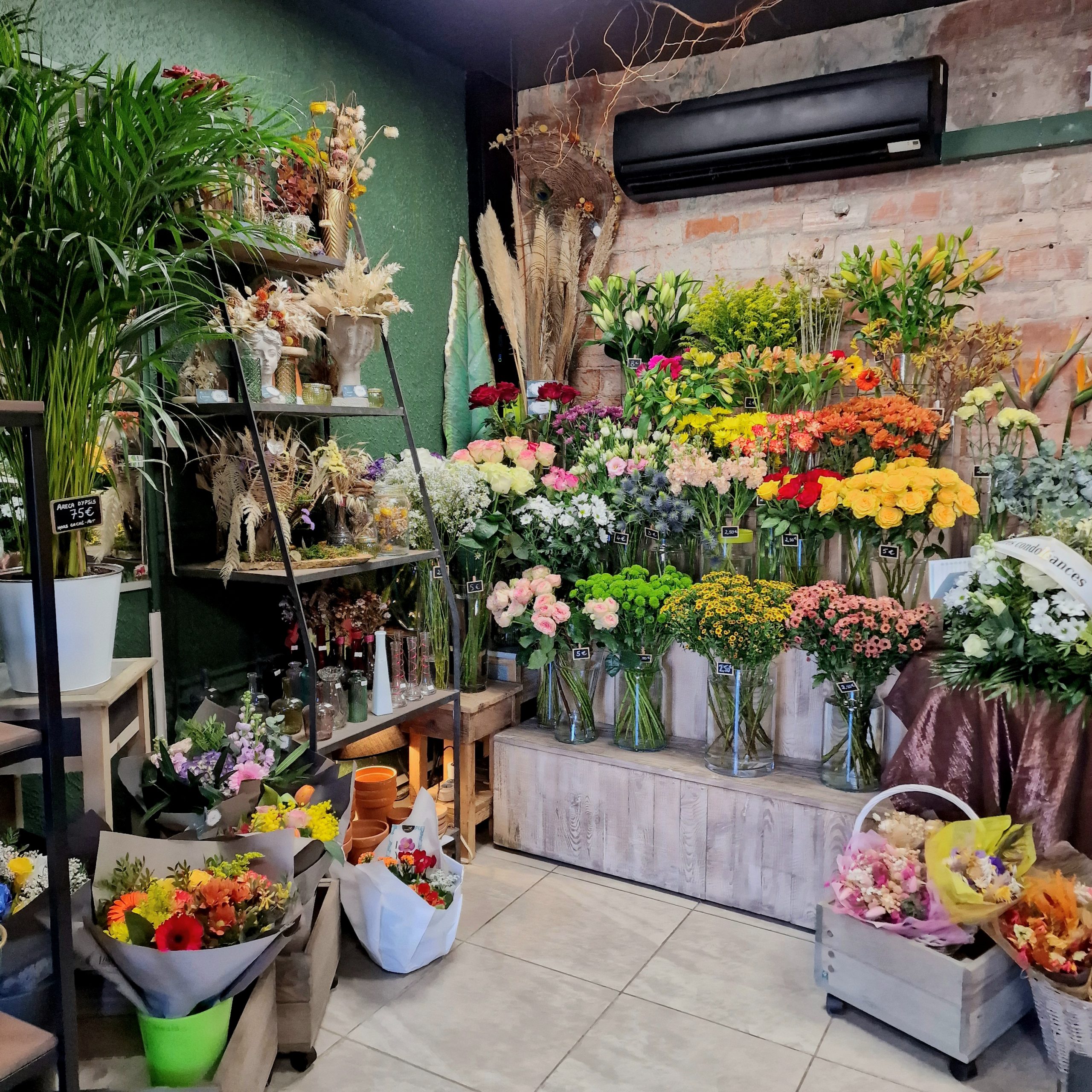 Fleuriste Noël décoration Amazonie Sète