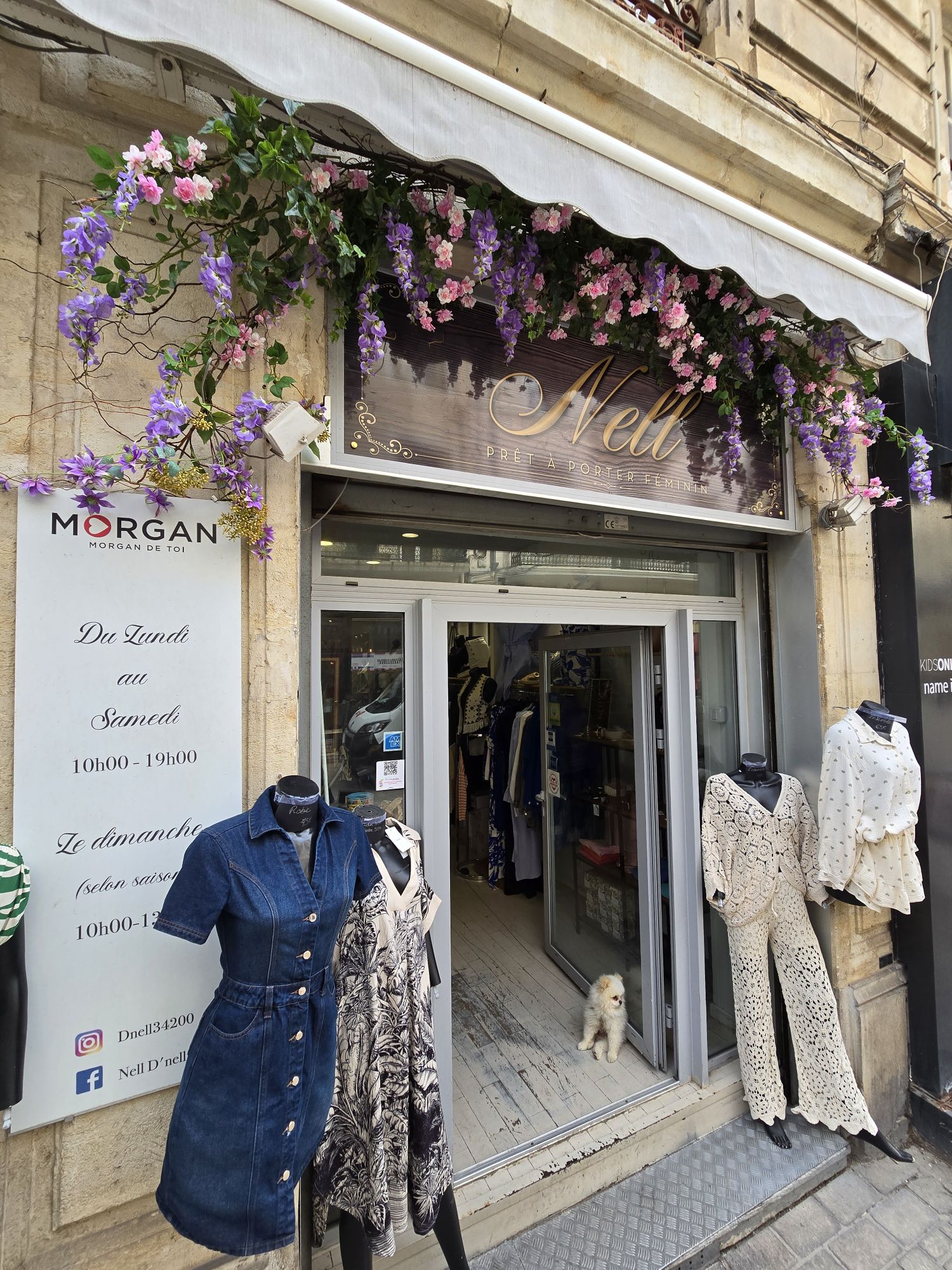 Décoration florale Boutique Fleuriste Amazonie Sète