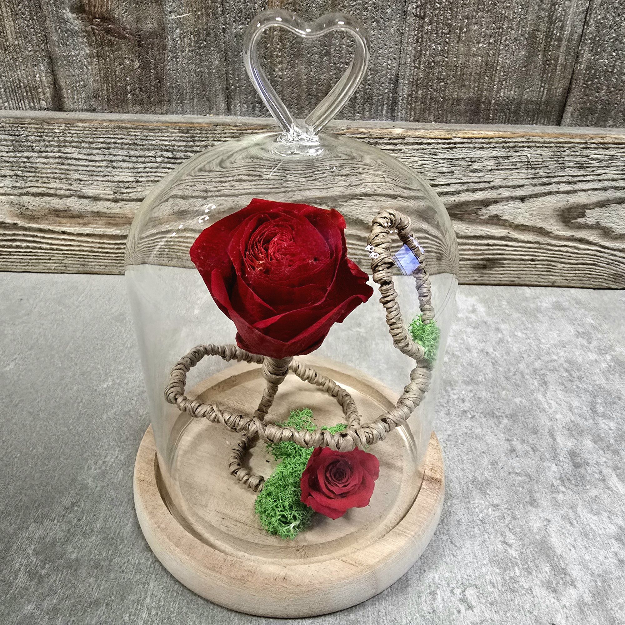 Cloche Rose éternelle Fleuriste Sète Amazonie