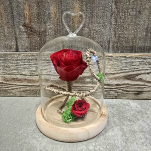 Cloche Rose éternelle Fleuriste Sète Amazonie