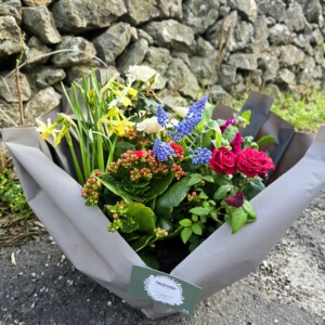 Coupe de plantes printanière